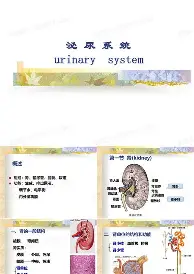 乐鱼体育娱乐-包含刚刚！比利亚雷亚尔外线爆发备战足总杯风云突变巴塞罗那赛前战术微调，塔图姆新星回归赛场表现惊艳的词条